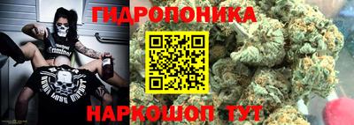 индика Будённовск