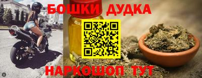 индика Будённовск