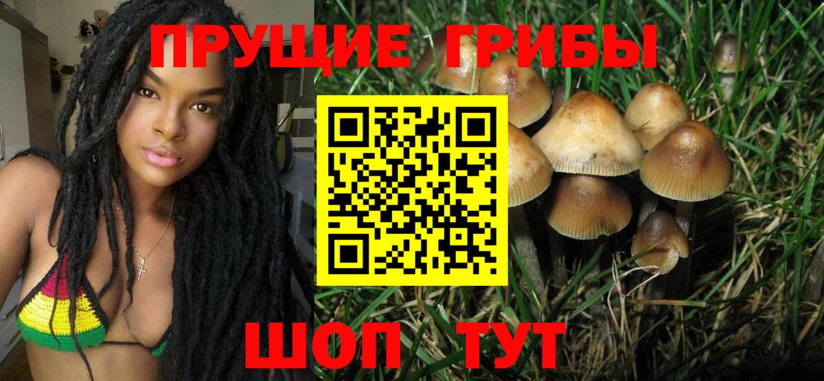 Галлюциногенные грибы MAGIC MUSHROOMS Сургут