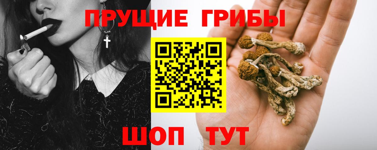 Сургут  Галлюциногенные грибы мицелий  Вход с VPN 